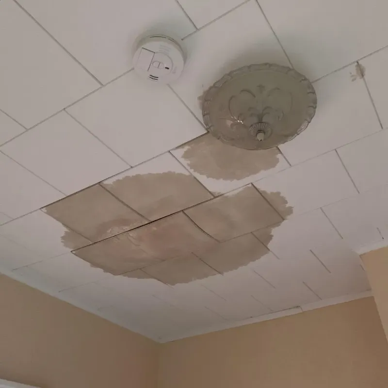 Ceiling Water Damage Repair in Ware, MA