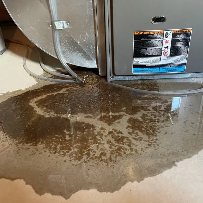 Pipe Burst and Leak Restoration in Ware, MA